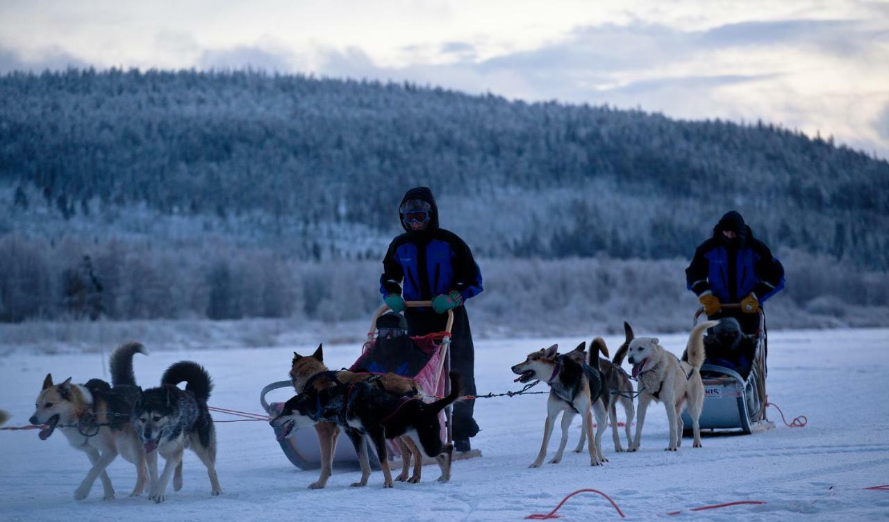 Terra Ultima Villa Rovaniemi Kültér fotó