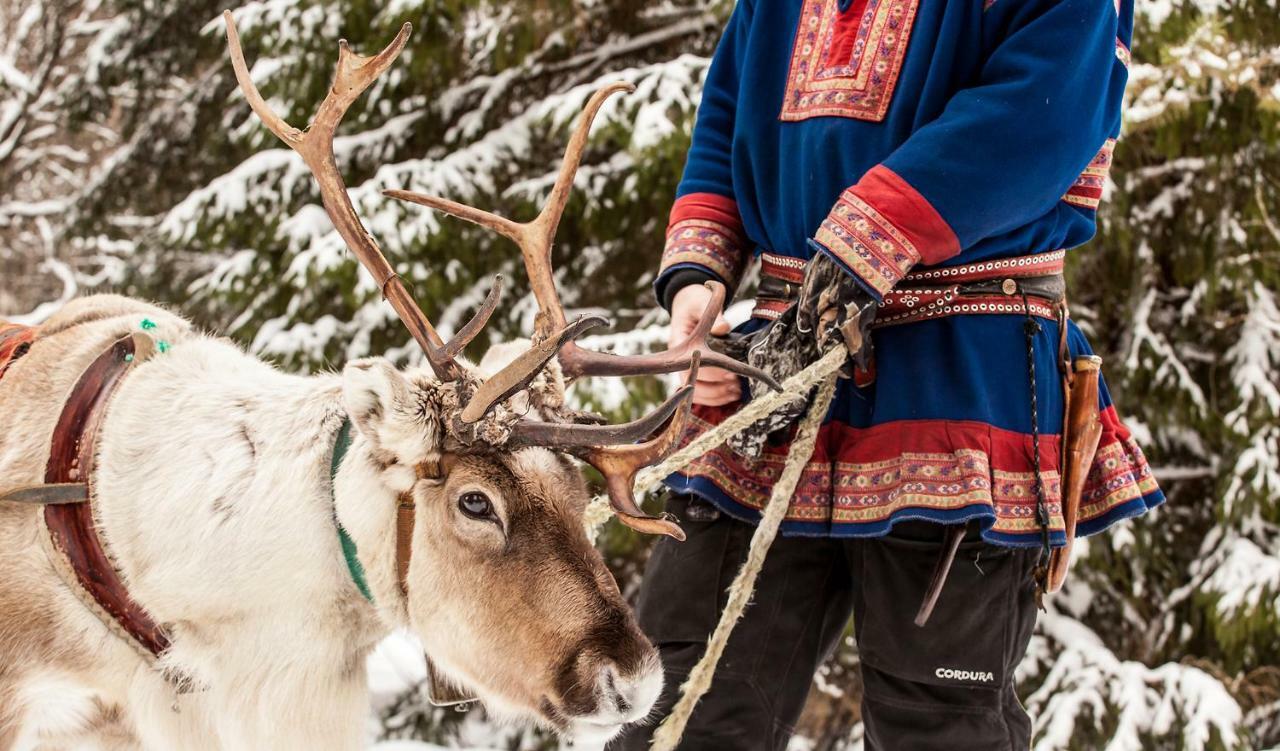 Terra Ultima Villa Rovaniemi Kültér fotó