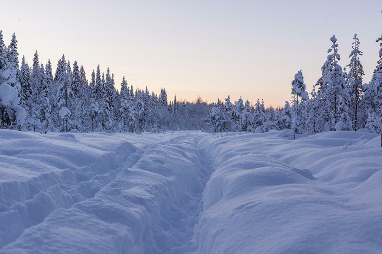 Terra Ultima Villa Rovaniemi Kültér fotó