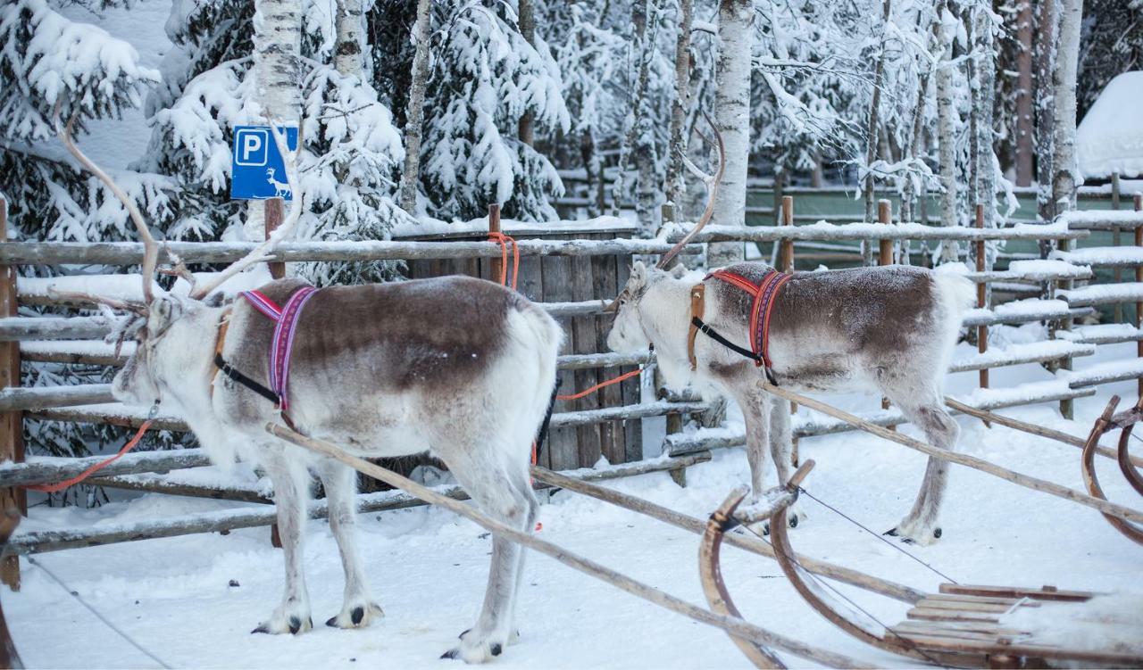 Terra Ultima Villa Rovaniemi Kültér fotó