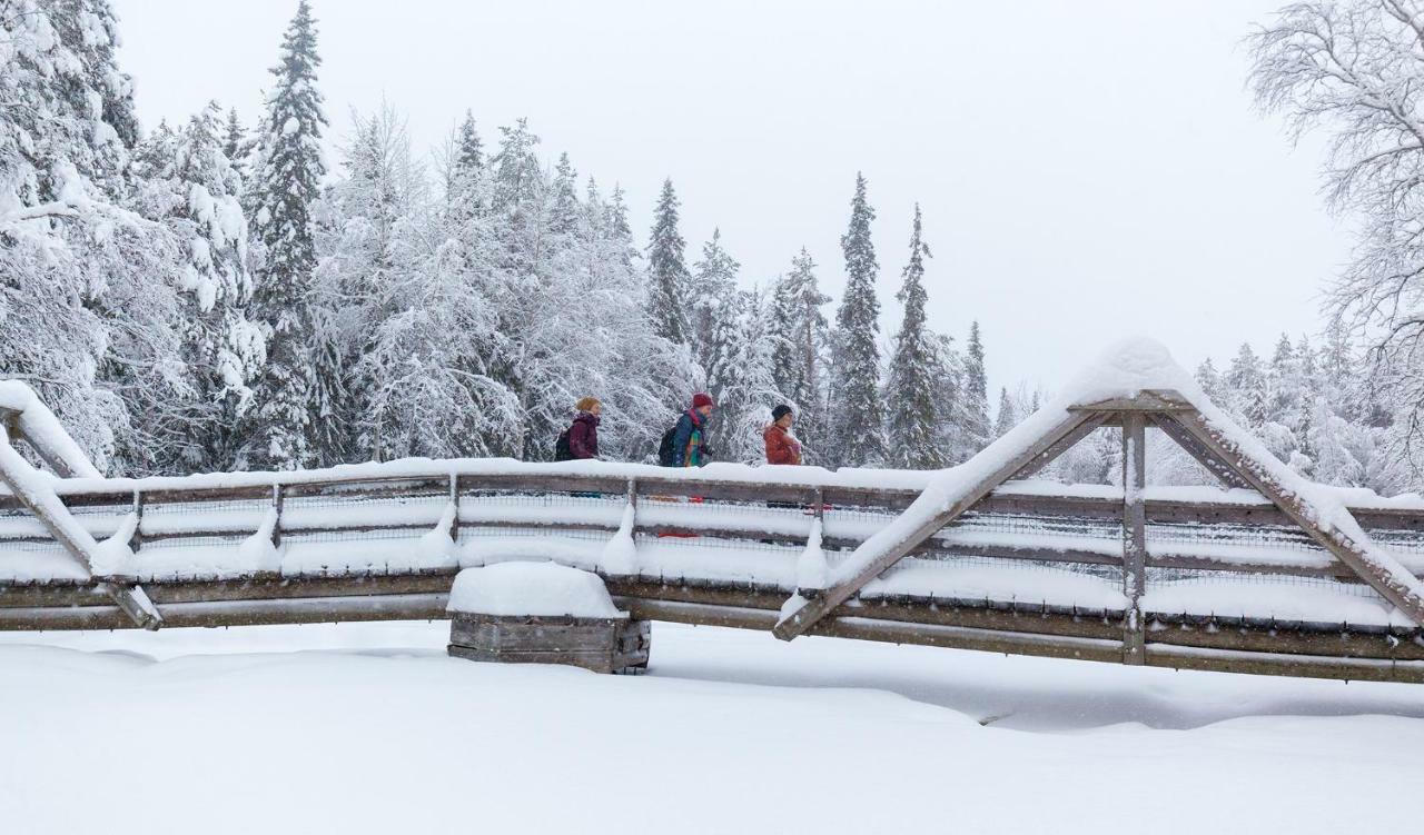 Terra Ultima Villa Rovaniemi Kültér fotó