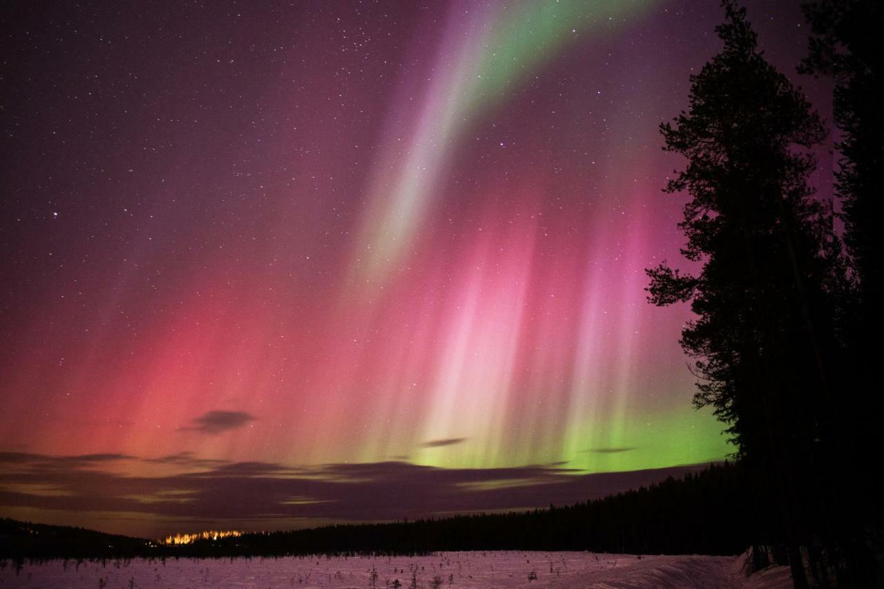 Terra Ultima Villa Rovaniemi Kültér fotó